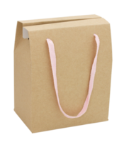 brown paper package bag isolated with clipping path png