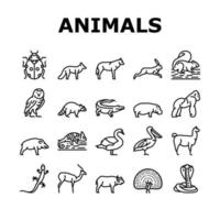Wild Animals, Bugs And Birds Icons Set Vector