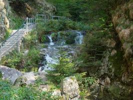 the black forest in germany photo