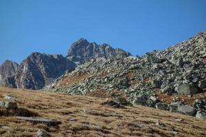 hiking in the swiss alps photo