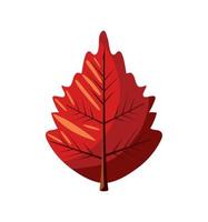 autumn dry leaf vector