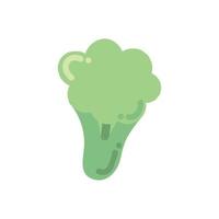 broccoli vegetable food vector