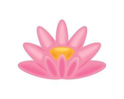 lotus flower nature vector