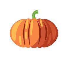 pumpkin isolated icon vector