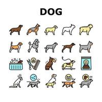 Dog Domestic Animal Collection Icons Set Vector