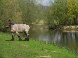 Eibergen in the netherlands photo