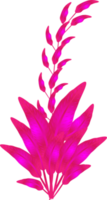 lila Blume Pflanzen verziert Natur Blatt Botanik dekorative Hintergründe Illustration png