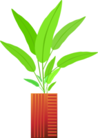 Houseplant flowerpot natural leaf growth indoor decoration graphic design illustration png