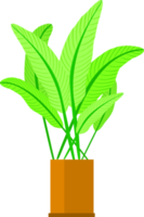vaso de plantas de casa crescimento de folhas naturais decoração interna ilustração de design gráfico png