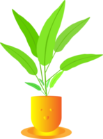 Zimmerpflanze Blumentopf natürliches Blattwachstum Innendekoration Grafikdesign Illustration png