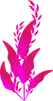 flores roxas plantas ornamentado natureza folha botânica ilustração de fundos decorativos png