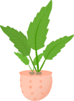 illustrazione di progettazione grafica della decorazione dell'interno del vaso di fiori della pianta d'appartamento crescita naturale delle foglie png