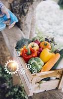 Futuristic businessman farms vegetables and crops using modern AI technology using mobile phones, temperature and humidity sensors, water tracking, climate control, holographic data data icons. photo