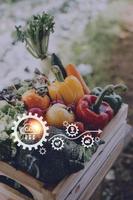 Futuristic businessman farms vegetables and crops using modern AI technology using mobile phones, temperature and humidity sensors, water tracking, climate control, holographic data data icons. photo