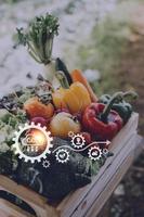 un hombre de negocios futurista cultiva verduras y cultivos usando tecnología moderna de inteligencia artificial usando teléfonos móviles, sensores de temperatura y humedad, rastreo de agua, control climático, íconos de datos holográficos. foto