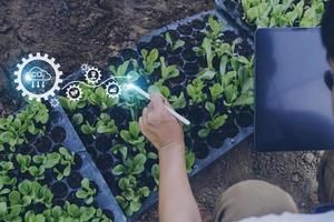 Futuristic businessman farms vegetables and crops using modern AI technology using mobile phones, temperature and humidity sensors, water tracking, climate control, holographic data data icons.
