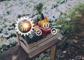 un hombre de negocios futurista cultiva verduras y cultivos usando tecnología moderna de inteligencia artificial usando teléfonos móviles, sensores de temperatura y humedad, rastreo de agua, control climático, íconos de datos holográficos. foto