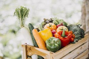 female farmer working early on farm holding wood basket of fresh vegetables and tablet photo