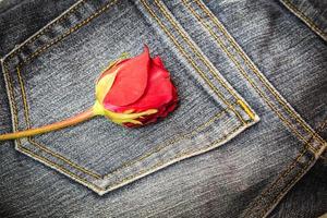 rosa roja sobre fondo de tela de jeans foto