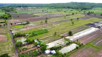 vista aérea de campos verdes y tierras de cultivo en las zonas rurales de tailandia foto