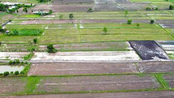 vista aérea de campos verdes y tierras de cultivo en las zonas rurales de tailandia. foto