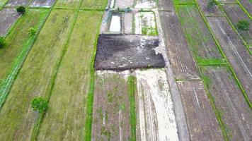 vista aérea de campos verdes y tierras de cultivo en las zonas rurales de tailandia. foto