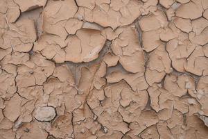 Drought and summer season, Hot landscape. Close up image of cracked dry land. photo