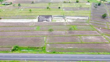 vista aérea de campos verdes y tierras de cultivo en las zonas rurales de tailandia. foto