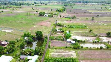 vista aérea de campos verdes y tierras de cultivo en las zonas rurales de tailandia. foto