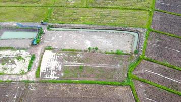 vista aérea de campos verdes y tierras de cultivo en las zonas rurales de tailandia. foto