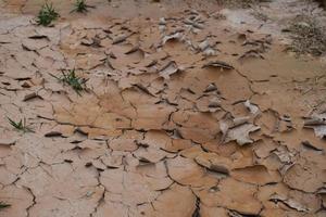 sequía y temporada de verano, paisaje caluroso. imagen de primer plano de tierra seca agrietada. foto