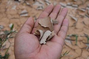 sequía y temporada de verano, paisaje caluroso. imagen de primer plano de tierra seca agrietada. foto