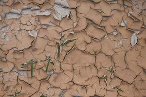 Drought and summer season, Hot landscape. Close up image of cracked dry land. photo