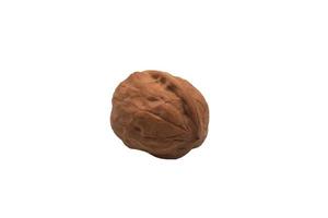 walnut on a white background photo