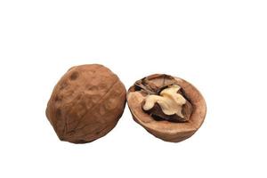 walnut whole and split half on a white background photo