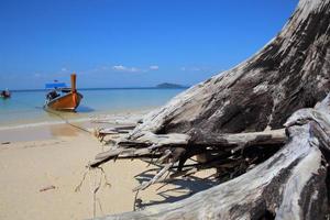 Beautiful white sand beach on island with crystal clear sea, Andaman sea, Thailand photo