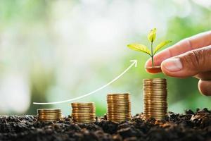 mano sosteniendo dinero poniendo monedas apiladas con crecimiento de plantas foto