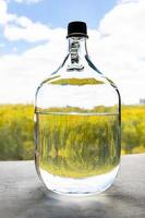 glass bottle with alcohol over colorful forest photo