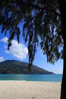 Beautiful view of thailand sea and sky from pine tree forest photo