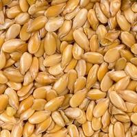 golden flax seeds close up photo