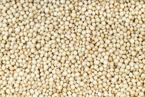 top view of raw amaranth grains photo