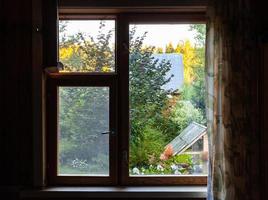 view of green backyard with well through window photo