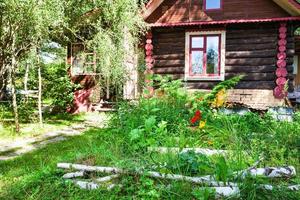 birch logs and flower bed at yard of rural house photo