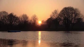 un rameur sur un lac dans un coucher de soleil de rêve. video