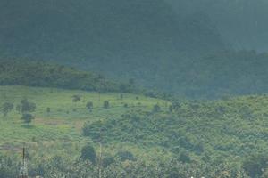 hermoso paisaje de montaña, bosque y niebla. foto