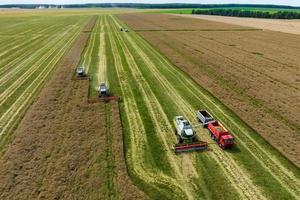aerial view over modern heavy harvesters remove the ripe wheat bread in field. Seasonal agricultural work photo