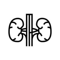 kidney human organ line icon vector illustration