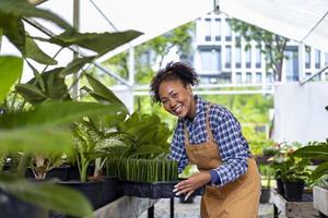 African American gardener is working inside her greenhouse at nursery garden center for native and exotic plant grower concept photo