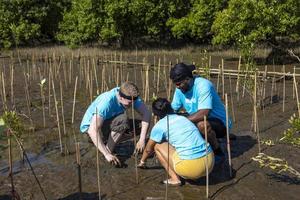 equipo de jóvenes y diversos grupos de trabajadores voluntarios disfrutan del trabajo social caritativo al aire libre en el trabajo de ONG de plantación de manglares para luchar contra el cambio climático y el calentamiento global en el proyecto de hábitat costero foto