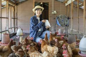 una agricultora asiática está alimentando a su gallinero de gallinas camperas que utiliza la técnica de granjas libres foto